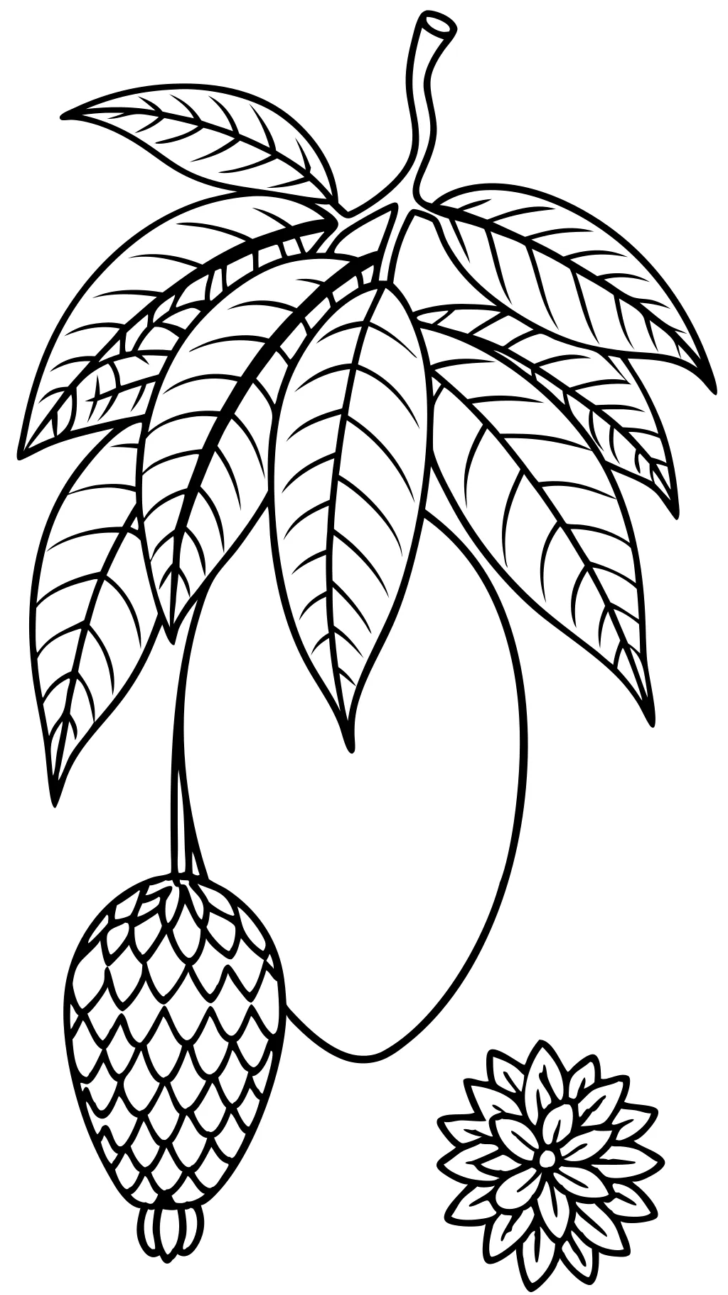 coloring page mango